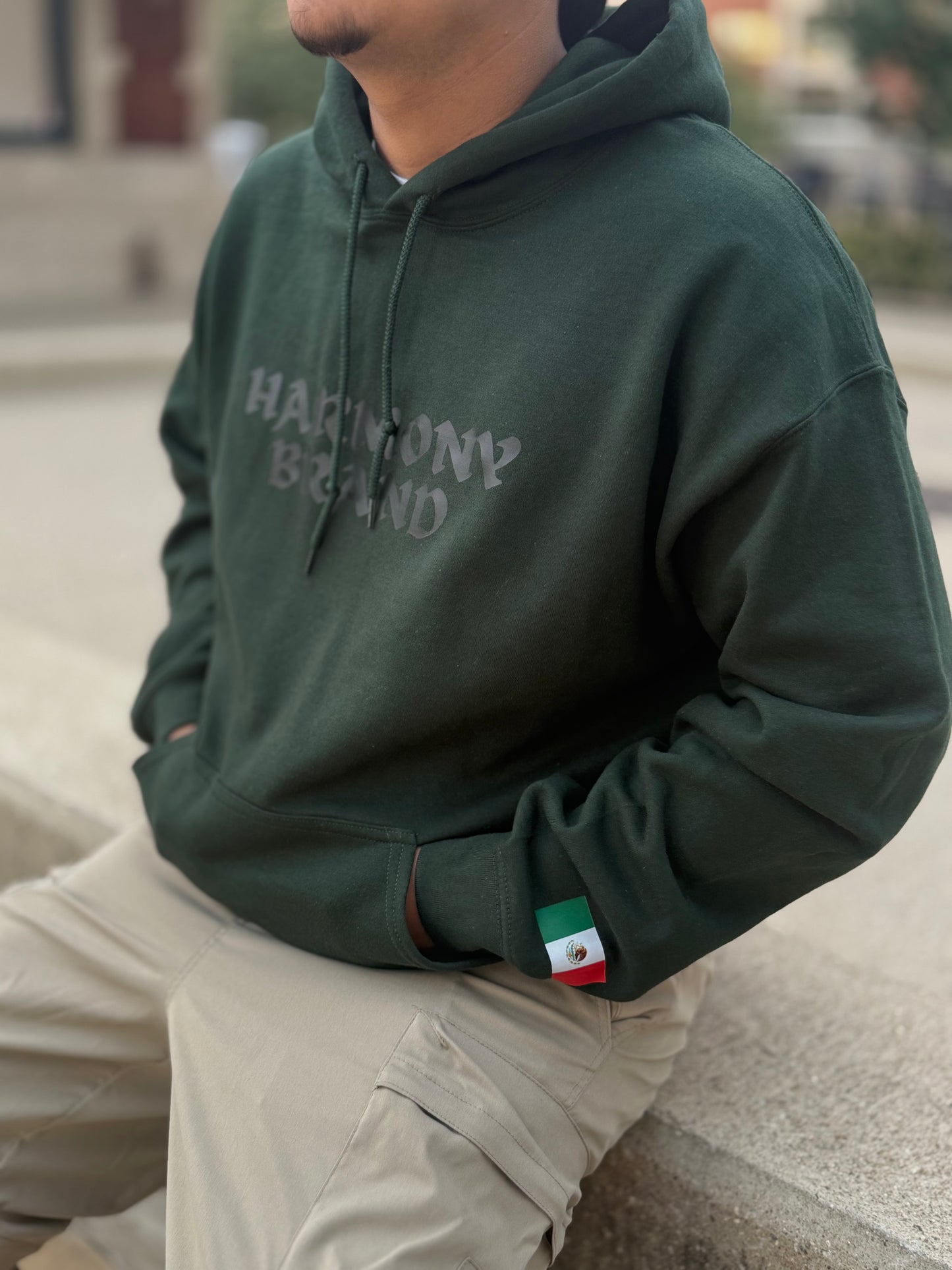 PROUD OF MIS RAISES HOODIE